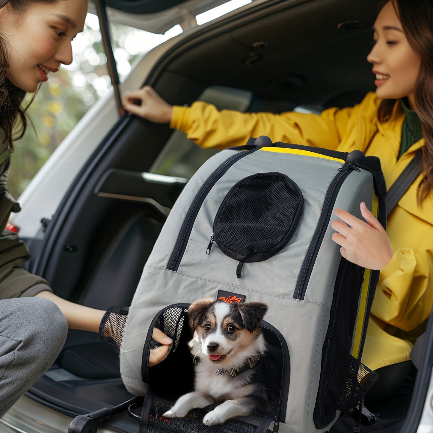 Dierenwagen – Wandelwagen – Hondenbuggy – Huisdierkar – Draagbare Autostoel – 2-in-1 Opvouwbaar Design – Stevig IJzeren Frame Met Ademend 600D Oxford Stof