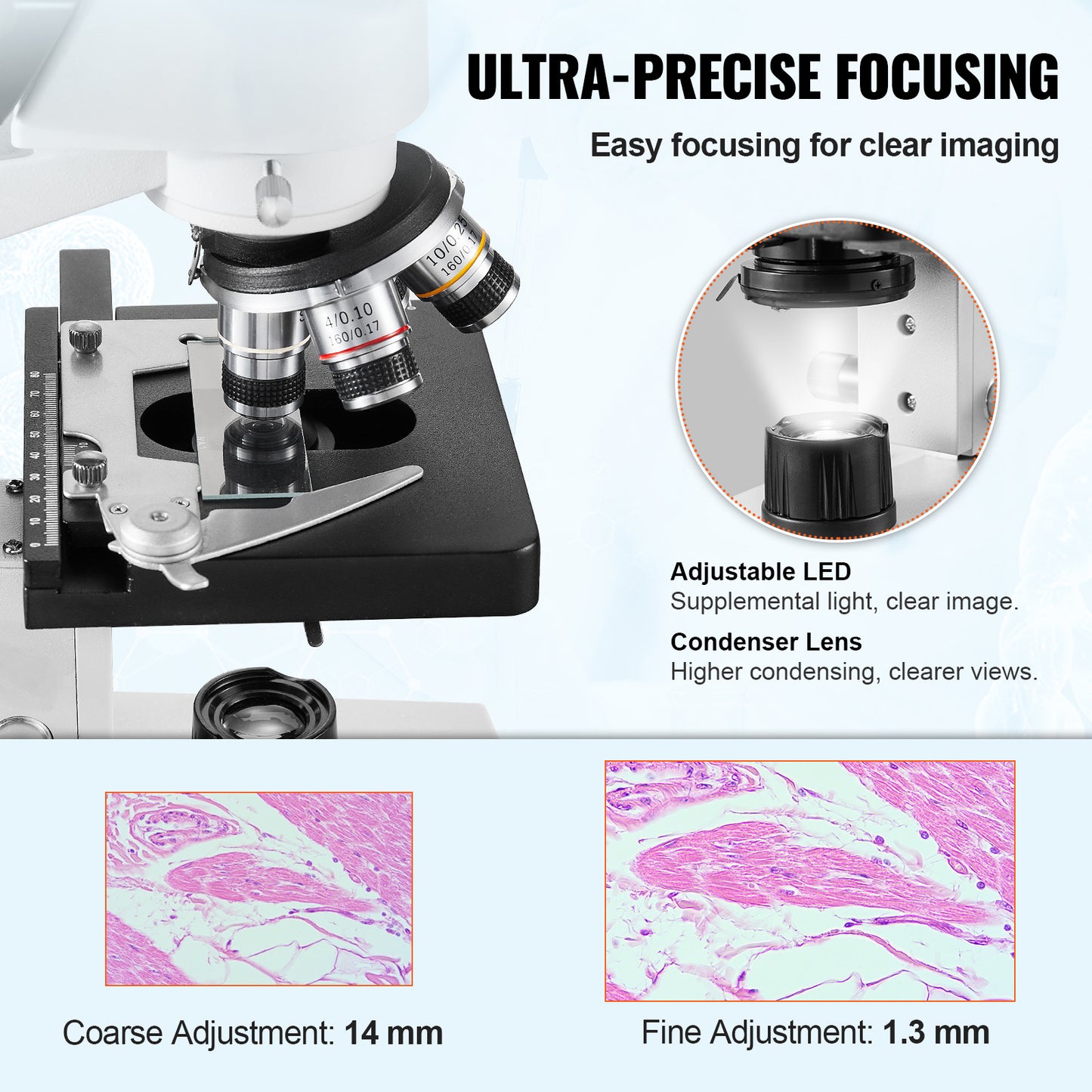 Microscoop – Binoculair – Compound Microscoop – Laboratoriummicroscoop – Biologische Microscoop – 40x-2500x Vergroting – Dubbele Mechanische Platte