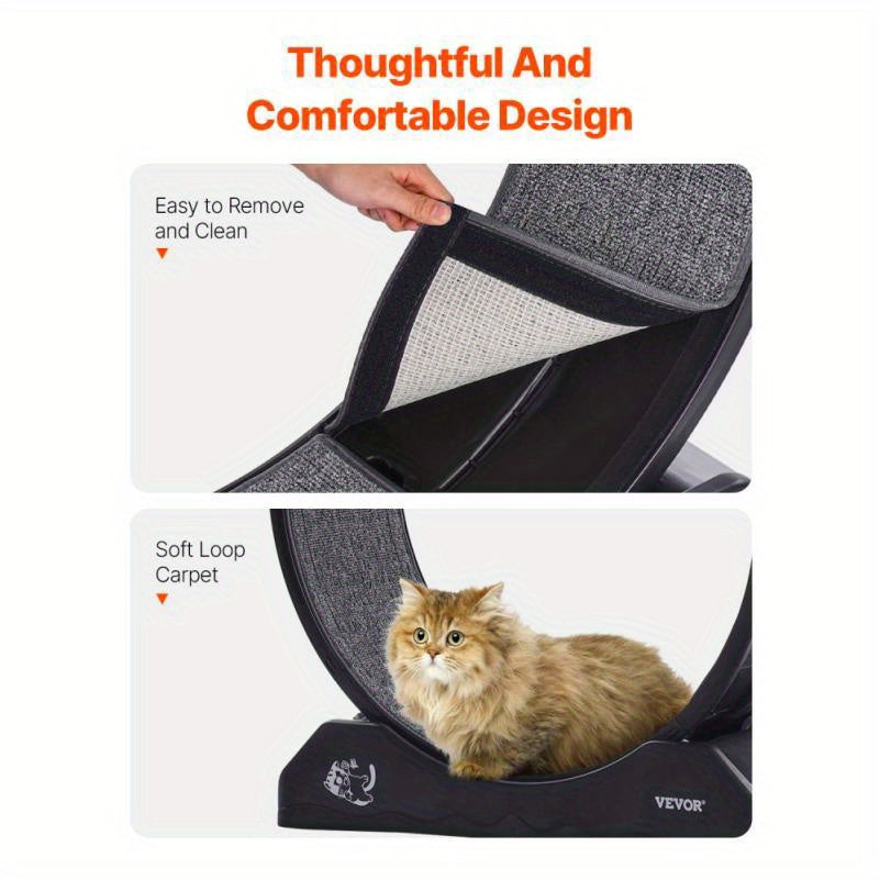 Renrad Voor Katten – Kattenwiel – Loopwiel Kat – Kat Looprad – Kat Fitnessapparaat – Extra Groot 80 cm – Duurzaam Acryl Met Antislip