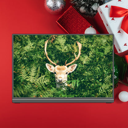 Portable Monitor – Draagbaar Beeldscherm – Extra Scherm Laptop – USB-C Monitor – HDMI Monitor – 16 Inch – 1920x1200 Pixels – HDR & Freesync