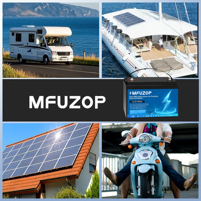 12V 100Ah LiFePO4 Accu – Lithium Batterij – Deep Cycle Accu – Solar Accu – Camper Accu – Slimme BMS – 100A Snelladen – Lange Levensduur