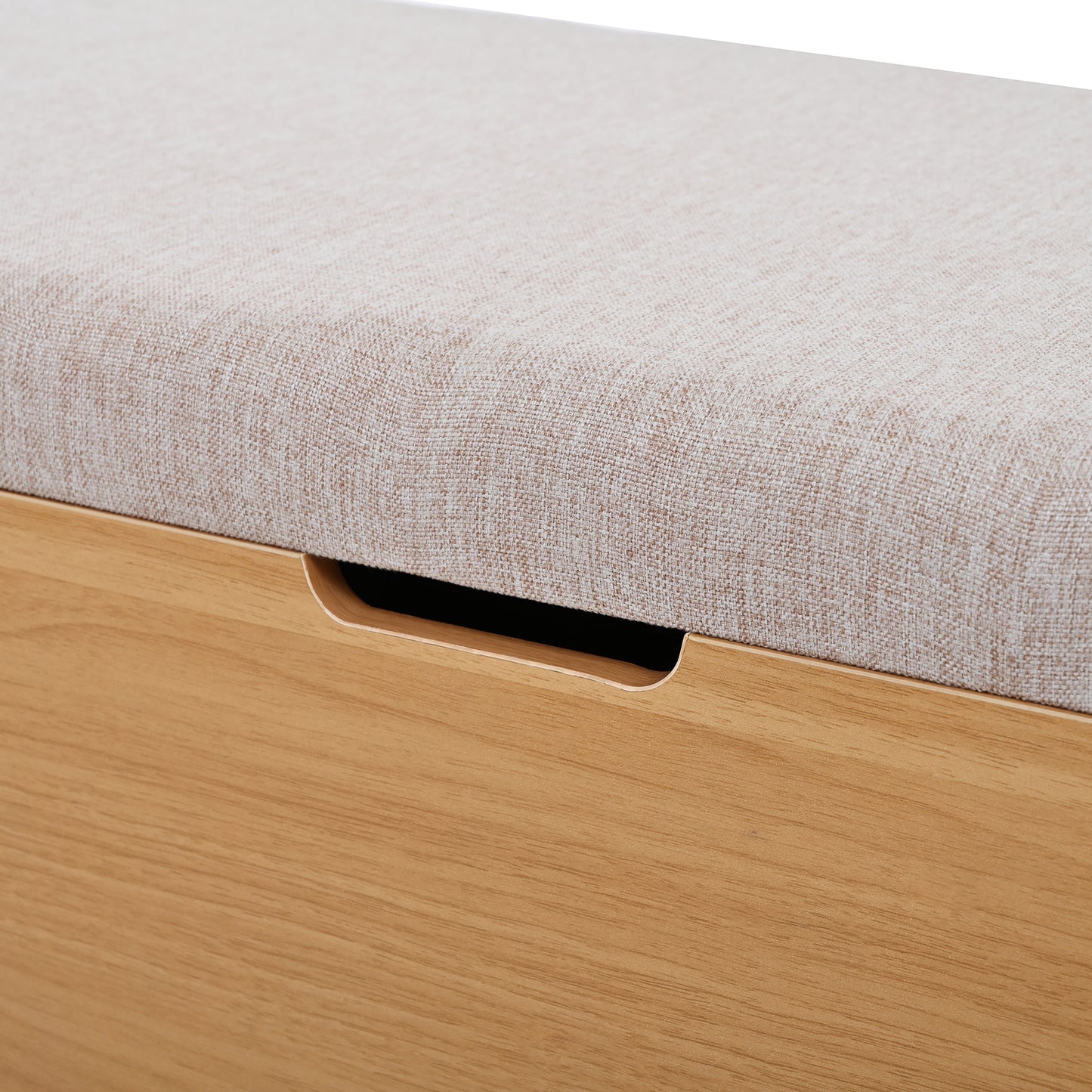 BTM Shoe Bench 115X40X49.5 Cm, Storage Bench with Seat Cushion, Bench with Storage, Floor Bench with Storage Space, Bench for Entrance Area, Living Room & Bedroom