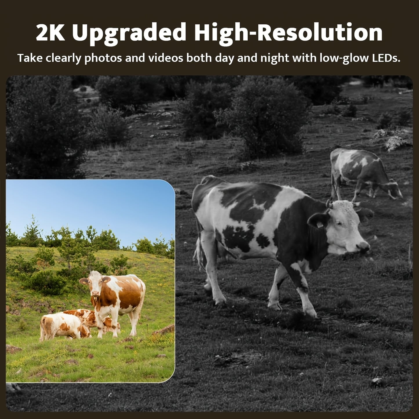 Wildcamera – Jachtcamera – Trailcam – Wildlife Camera – Buiten Camera – 4G LTE Met 2K HD Live Beeld – Zonnepaneel Oplaadbaar Met Nachtzicht