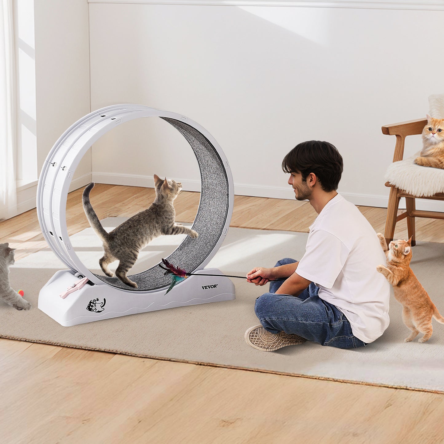 Kattenloopwiel – Kattenrad – Kattenrennrad – Kattenrennen – Kattenfitness – Groot 80 cm Diameter – Stil En Stabiel Ontwerp