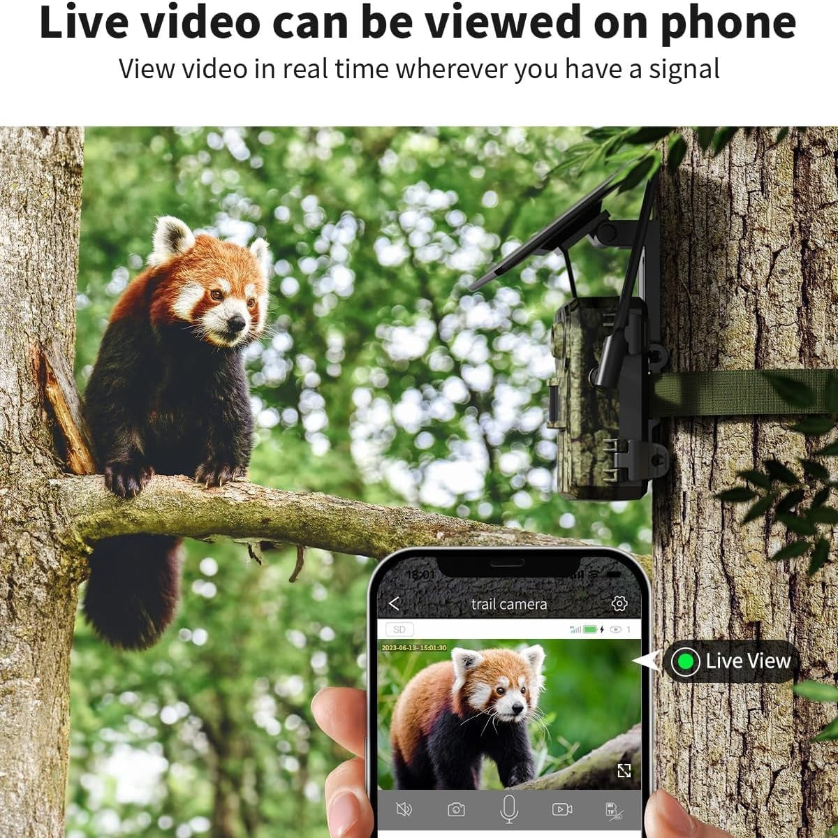 Wildlife Camera Set – 4G Jachtcamera – Natuurcamera – Bewegingscamera – Solar Power – 2K Videokwaliteit – Nachtzicht 360° - set van 2 Stuks