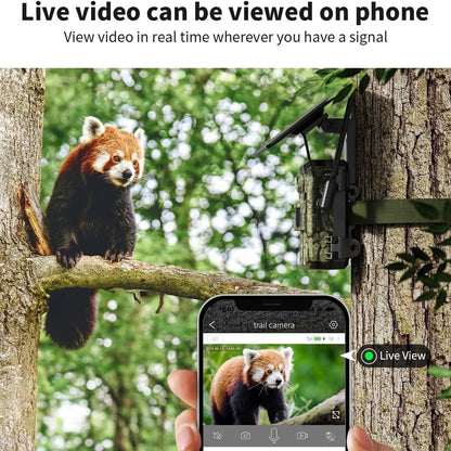 Wildlife Camera Set – 4G Jachtcamera – Natuurcamera – Bewegingscamera – Solar Power – 2K Videokwaliteit – Nachtzicht 360° - set van 2 Stuks