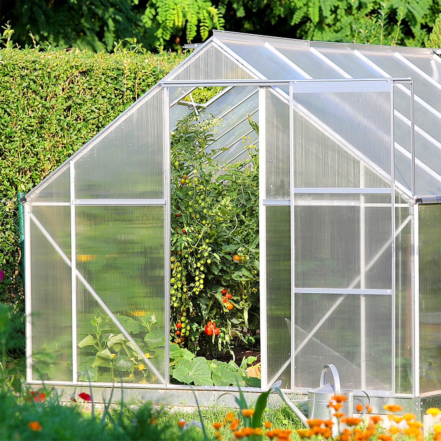 Polycarbonaatplaat – Kunststofplaat – Kasplaat – Dubbelwandig – Kanaalplaat – Transparant – UV-bestendig – 4 mm dik – 605 x 1210 mm – 700 g/m²