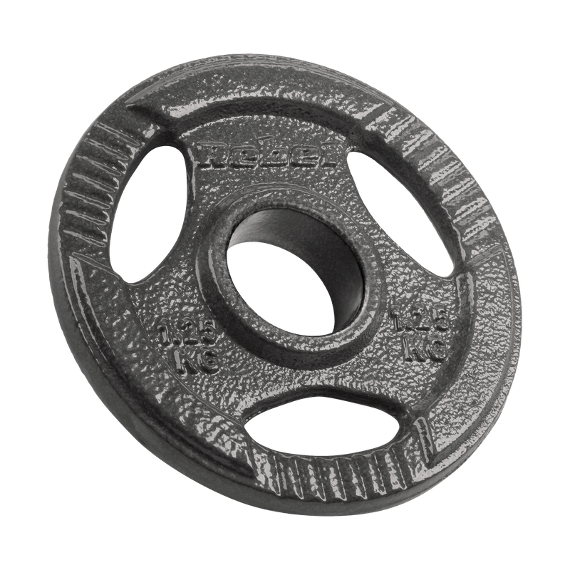 Gietijzeren Gewichtenset – Halterschijven – Fitnessgewichten – Gewichtplaten – Dumbbell Schijven – 4x1,25 kg – 51 mm Gat – Handgrepen