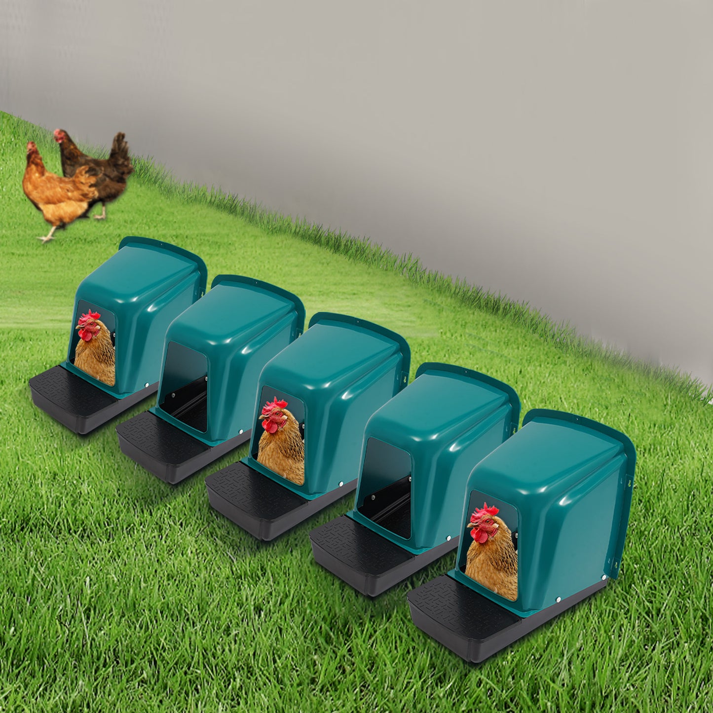 Nestbakken Kip – Kippennest, Legnest, Eibak, Kippenhok Nest – Set Van 5 – Duurzaam kunststof met ventilatie – Eenvoudig schoon te maken – Blauwgroene uitvoering – 2 Compartimenten