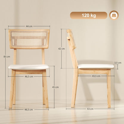 Eetstoel – Eetkamerstoel – Kuipstoel – Stoel – Meubel – Scandinavisch Design – Stevig Niet-Houten Frame – Snelle Montage
