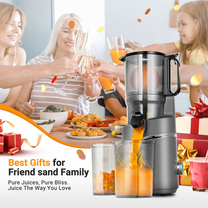 Slowjuicer – Sapcentrifuge – Juicer – Sapextractor – Slowmixer – Extra Brede 135mm Opening – Driedubbel Filtratiesysteem – 2L Grote Capaciteit – 250W Krachtige Motor – Silvery Variant