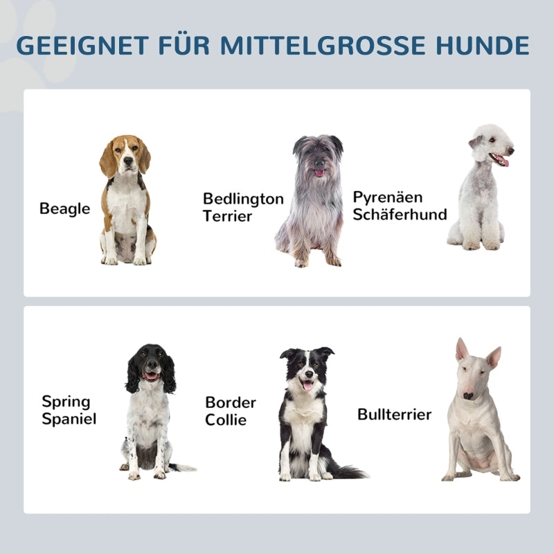Hondenvoerbak – Voerstation – Voerbakken – Drinkbak – Voerkom – Verhoogde Voerstandaard – 2 Roestvrijstalen Kommen 2L – Met Opberglade Grijs 60x30x24 cm