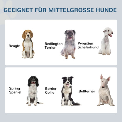 Hondenvoerbak – Voerstation – Voerbakken – Drinkbak – Voerkom – Verhoogde Voerstandaard – 2 Roestvrijstalen Kommen 2L – Met Opberglade Grijs 60x30x24 cm