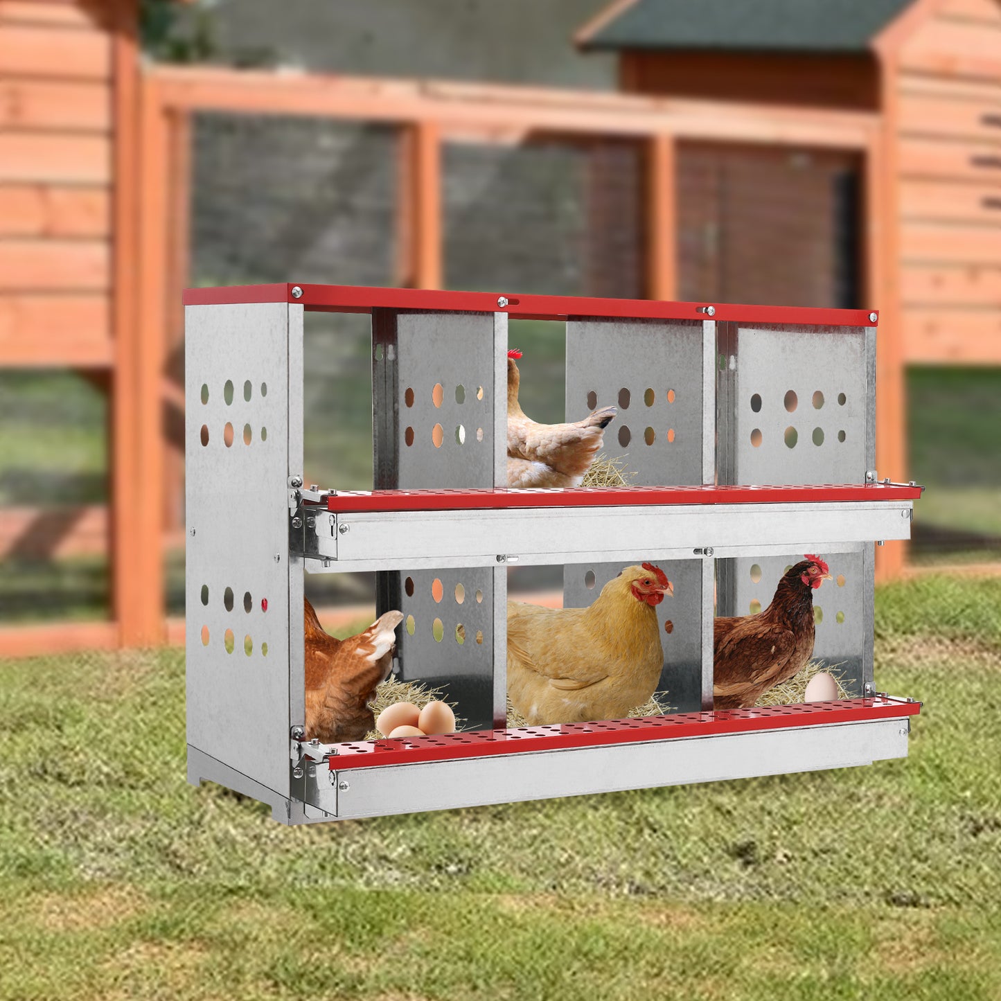 Kippenlegbak – Kippenhokbak – Eiplaats – Nestkast – Legbak – Gegalvaniseerd Staal – 6 Compartimenten – Rollenbodem – Ventilatiepanelen – Duurzaam – Ruim