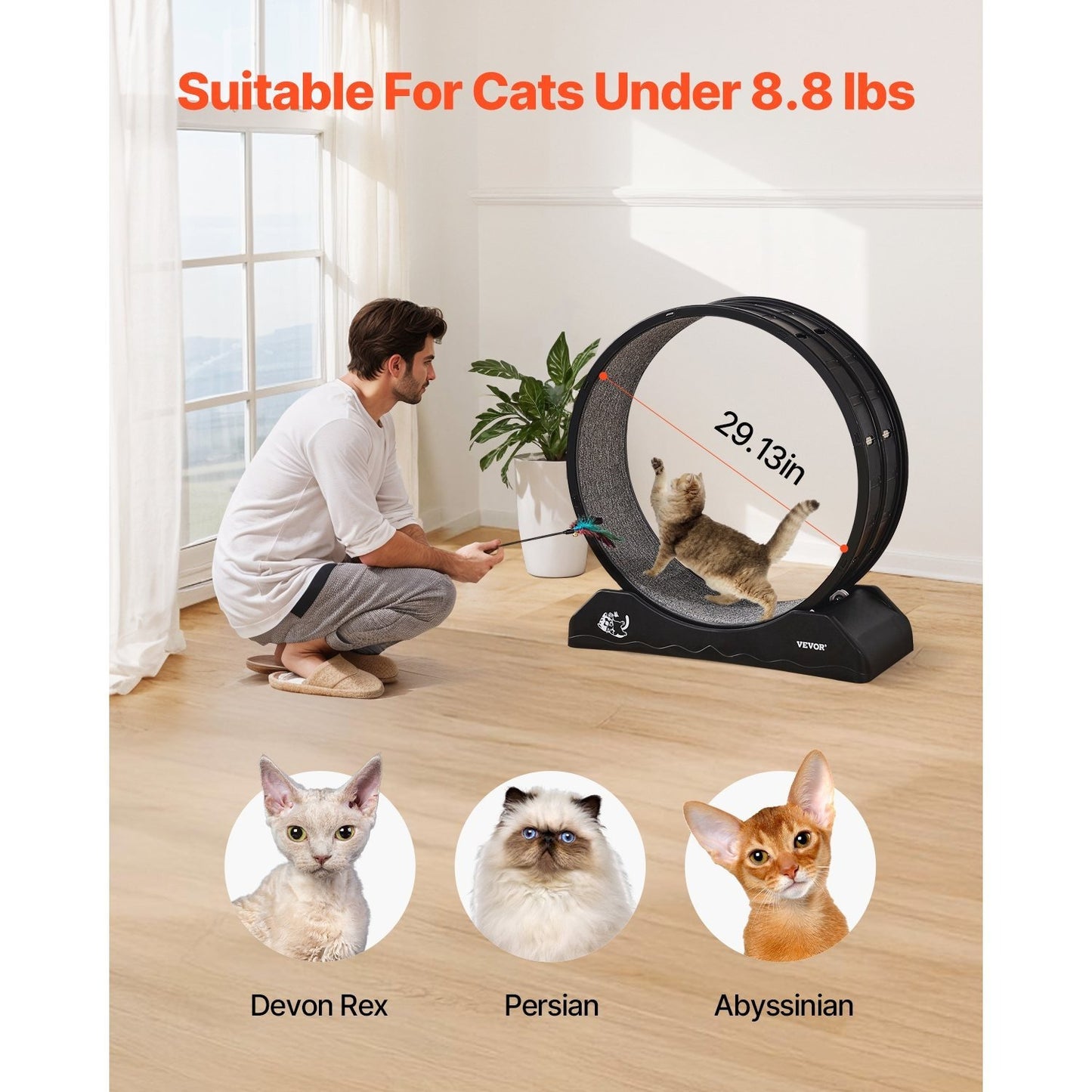 Kattenrad – Kattenspeelwiel – Kattenloopwiel – Kattenrenwiel – Katten fitness wiel – 74 cm groot – Geluidloos & Duurzaam kunststof