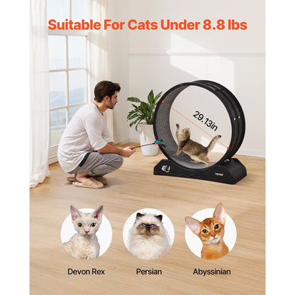 Kattenrad – Kattenspeelwiel – Kattenloopwiel – Kattenrenwiel – Katten fitness wiel – 74 cm groot – Geluidloos & Duurzaam kunststof