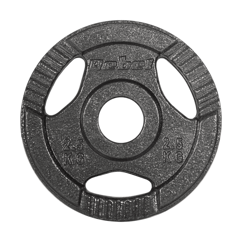 Gietijzeren Gewichtenschijven – Halterschijven – Fitnessgewichten – Krachttrainingsschijven – Dumbbell Schijven – 4x 2,5 kg – 51 mm Gat Met Handgrepen