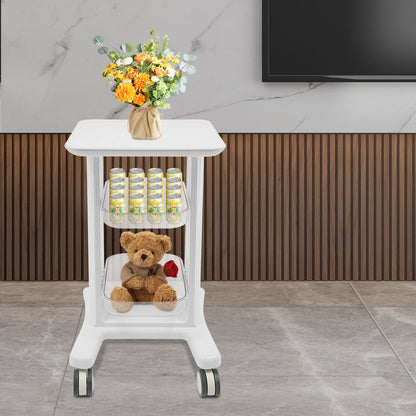 3-Tier No Assembly Needed Storage Cart Professional Beauty Salon Storage Trolley, Beauty Trolley, Salon Organization, Sleek Organizer, Compact Design, Durable Construction, Easy to Clean, Mobile Storage Unit, Storage Organize