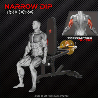 Dipmachine – Dips Station – Krachtstation – Pull Up Bar – Dip Station – Plate Loaded – Robuust IJzer – Compact Ontwerp